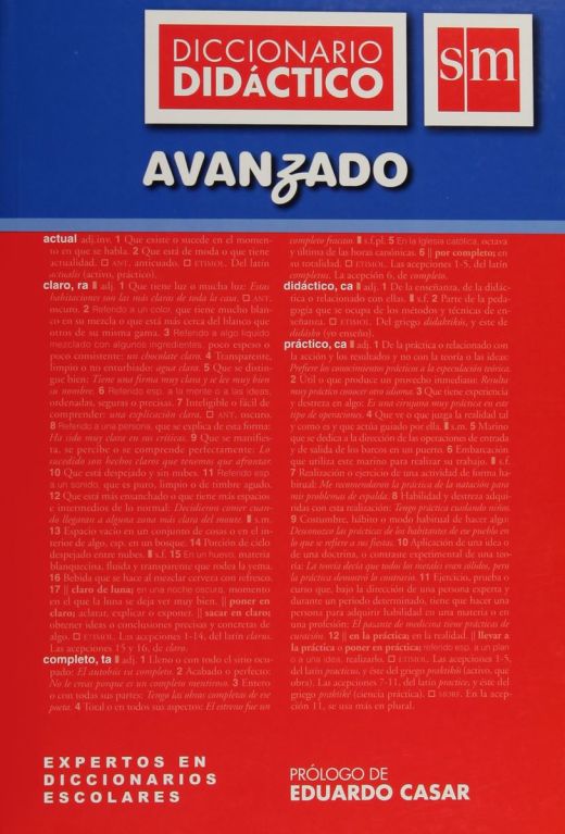 DICCIONARIO DIDÁCTICO DE ESPAÑOL AVANZADO